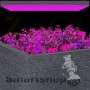 Suspend LED Phytolight Lamp LED-Light 100W L-100
